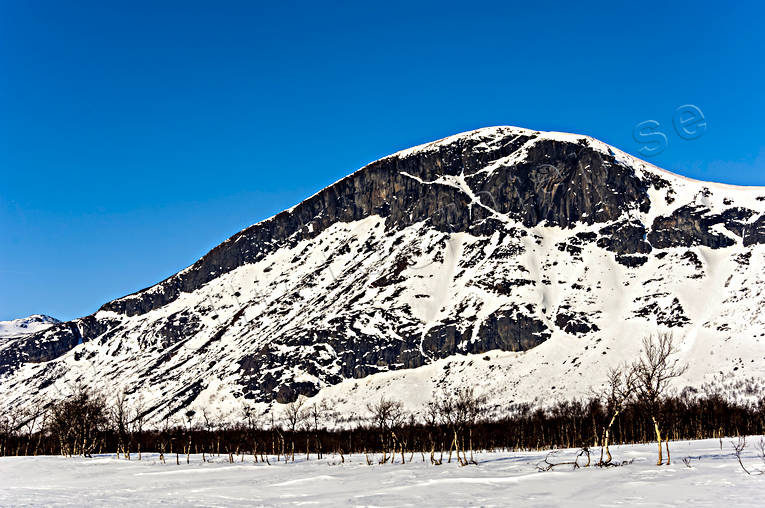 Ahkabakte vid Sitojaure Ahkabakte, fjällbrant, fjällsida, Landskap, lappland, Sitojaure, vinter