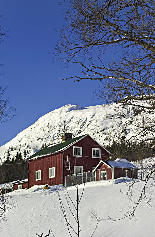 Almdalens Fjällgård Almdalen, anläggningar, byggnader, fjällgård, fjällägenhet, Jämtland
