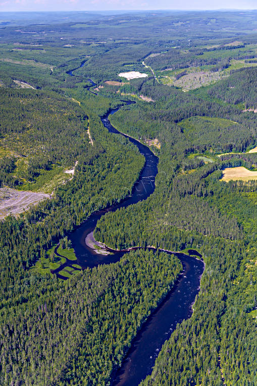 Ammern, Frsn, Jmtland, Landskap, sommar, lvar