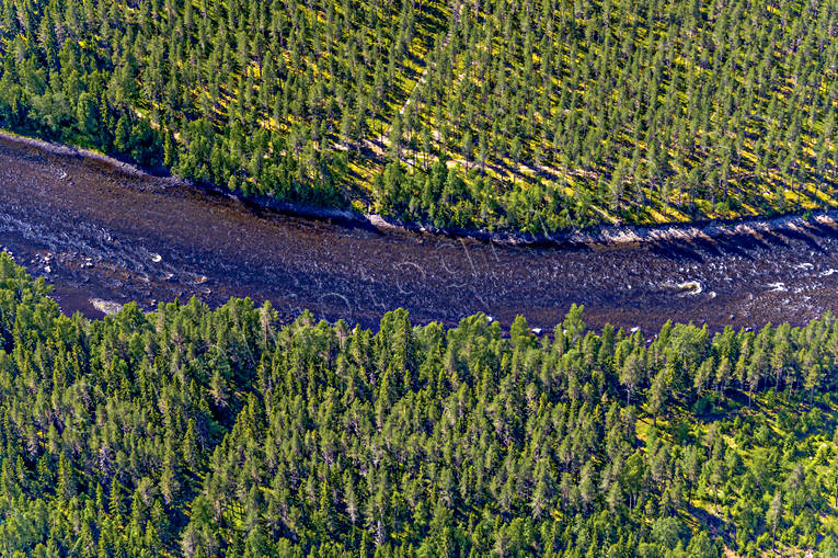 Ammerån Ammer, Ammerån, Jämtland, Landskap, sommar, älvar