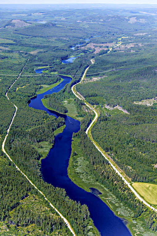 Ammerån Ammerån, Jämtland, Landskap, Selsålandet, sommar, älvar