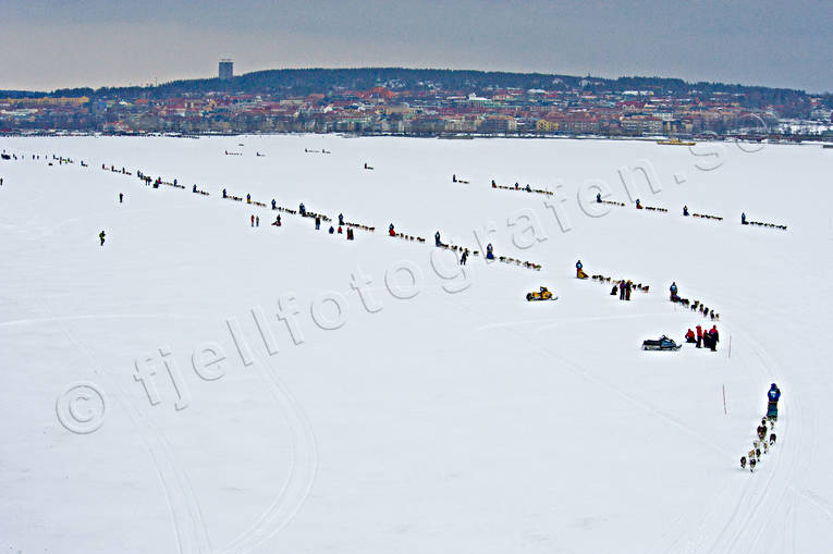 Amundsen race, draghund, draghundar, hundspann, sldhund, sldhundar, tvling, vinter, ventyr