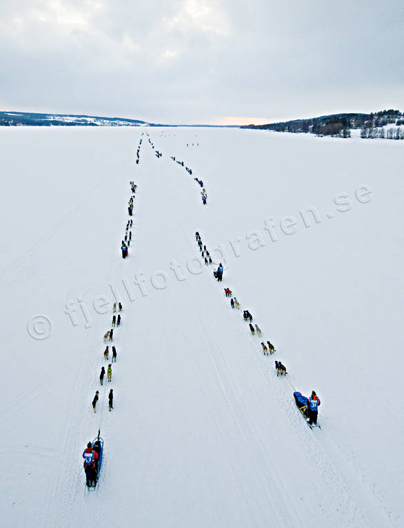 Amundsen race, draghund, draghundar, hundspann, slädhund, slädhundar, Storsjön, tävling, Vallsundet, vinter, äventyr