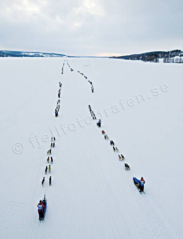 Amundsen race, Starten Östersund Amundsen race, draghund, draghundar, hundspann, slädhund, slädhundar, Storsjön, tävling, Vallsundet, vinter, äventyr