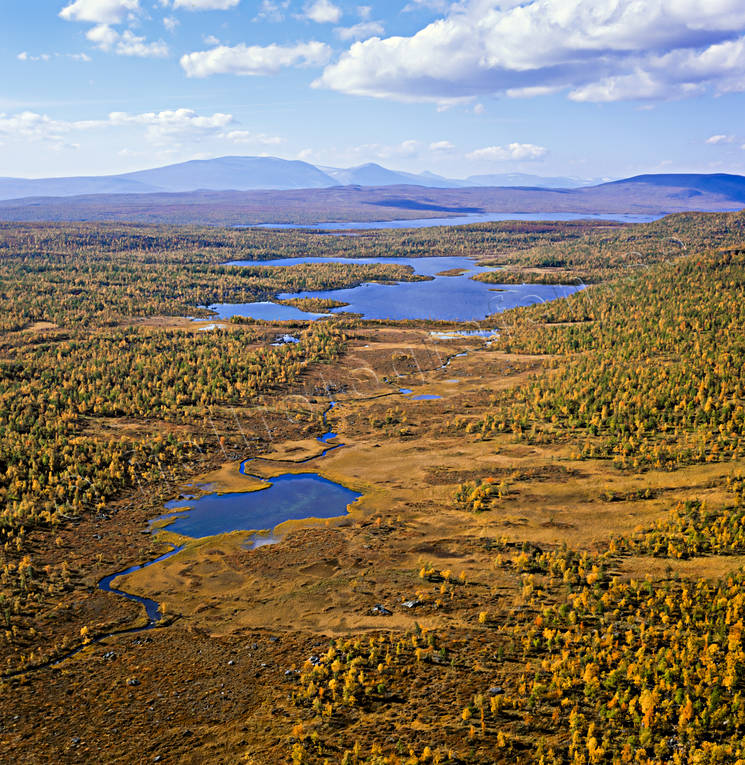 Bargajaure i Pieljekaise Nationalpark Bargajaure, Bjeljautjåkkå, drönarbilder, drönarfoto, fjällbilder, FJÄLLEN, flygbild, flygbilder, Flygfoto, flygfoton, höst, höstfärger, Landskap, lappland, myrar, myrområde, nationalparker, Pieljekaise, vattendelare, Vuoleb Tjallasjaure