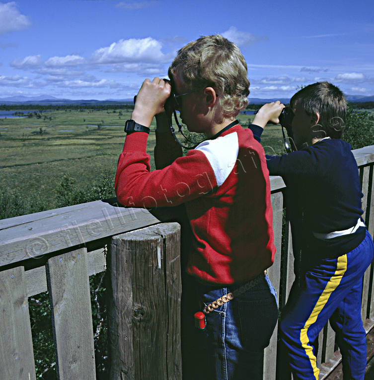 Barn kikar över fågelskyddsområde friluftsliv, fågelskådning, kikare, sommar, uteliv, Ånnsjön, äventyr