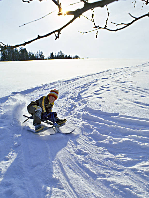Barn åker snowracer barn, friluftsliv, kul, kälkbacke, kälke, kälkåkning, lek, roligt, skoj, sladd, snowracer, snö, snölek, uteliv, vinter, vinterlek, vintersport, äventyr