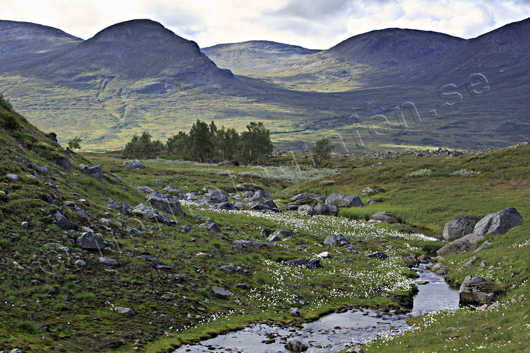 bck, fjll, fjllandskap, fjllbck, fjlltopp, hgfjll, Jmtland, Landskap, myr, natur, polarull, Snasen, Snasenmassivet, tvrklumpen