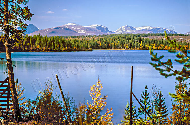 Björnsjön och Lunndörrsfjällen Björnsjön, fjäll, Härjedalen, höst, höstfärger, Landskap, Lill-Lunndörren, Lunndörrsfjällen, årstider