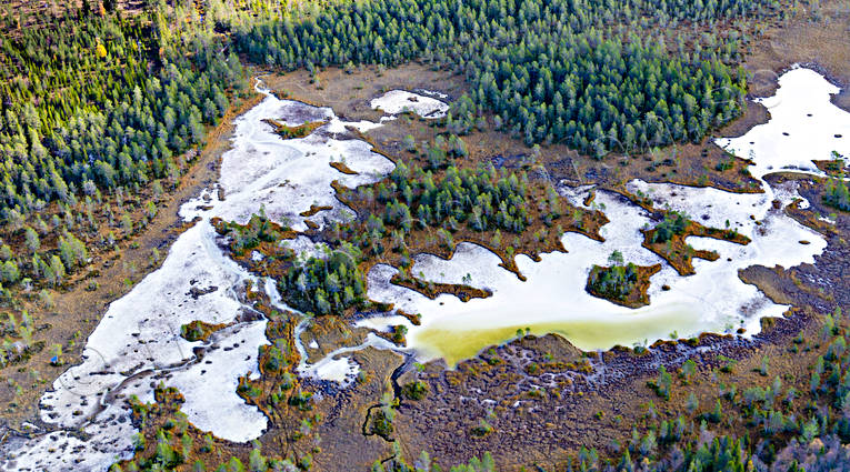 Blejkmyren Vålbacken Flygfoto biotop, biotoper, blejka, blejkmyr, drönarbilder, drönarfoto, flygbild, flygbilder, Flygfoto, flygfoton, höst, Jämtland, kalk, kalkmyr, Landskap, natur, årstid, årstider