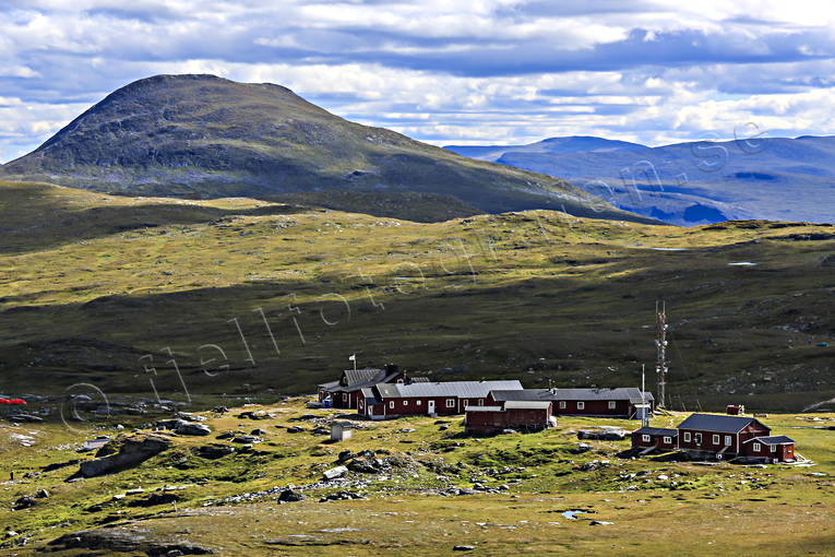 Blhammaren, Blhammarens fjllstation, fjll, fjllandskap, fjllen, fjllvandring, friluftsliv, Gretryggen, hgfjll, hgfjllen, Jmtland, Landskap, natur, sommar, sommarfjll, STF, rstider