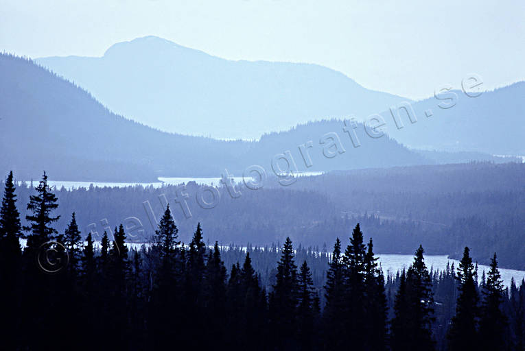berg, blnande, horisonter, Jmtland, Landskap, skogar, Strms Vattudal, Vattudalen, vr