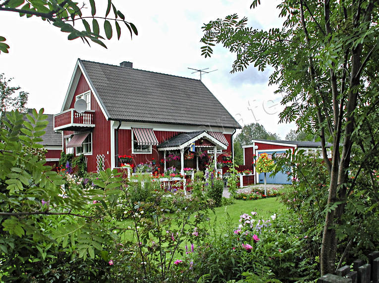 bebyggelse, blommande, blommor, byggnader, Gammelstad, Luleå, Norrbotten, sommar, stugor, trädgård, trähus, Villa, villaträdgård, årstid, årstider