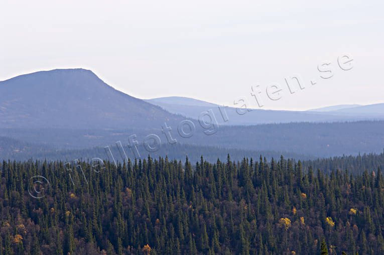 Blå berg vid Flatruet Härjedalen, höst, Landskap, vidder