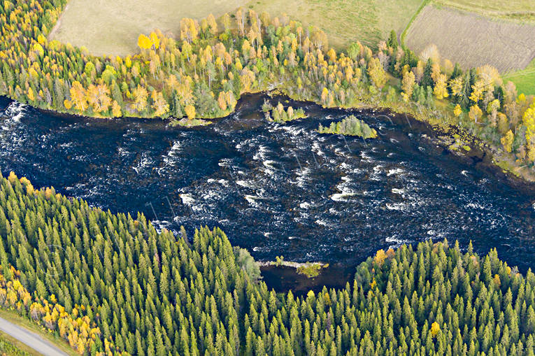 Brattlandsströmmen i Åreälven Brattlandsströmmen, drönarbilder, drönarfoto, flygbild, flygbilder, Flygfoto, flygfoton, höst, Jämtland, vattendrag, Åreälven, älvar
