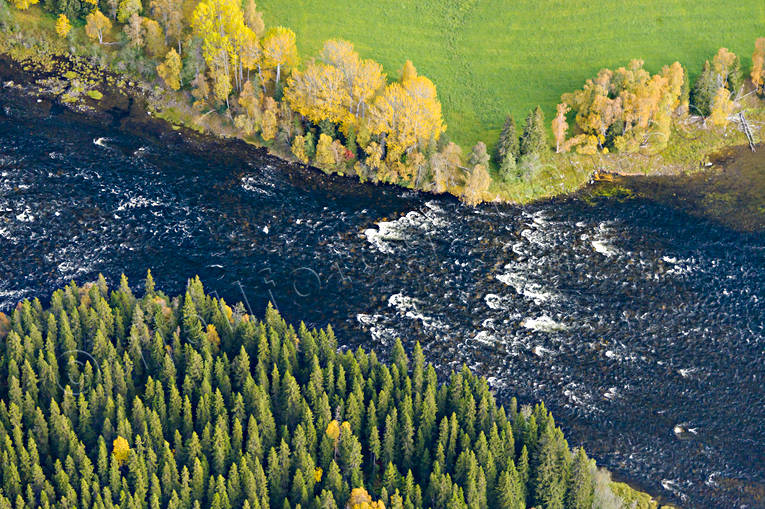 Brattlandsströmmen i Åreälven Brattlandsströmmen, drönarbilder, drönarfoto, flygbild, flygbilder, Flygfoto, flygfoton, höst, Jämtland, vattendrag, Åreälven, älvar