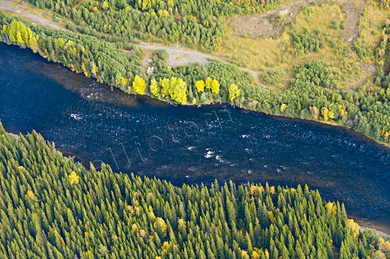 Brattlandsströmmen i Åreälven Brattlandsströmmen, drönarbilder, drönarfoto, flygbild, flygbilder, Flygfoto, flygfoton, höst, Jämtland, vattendrag, Åreälven, älvar