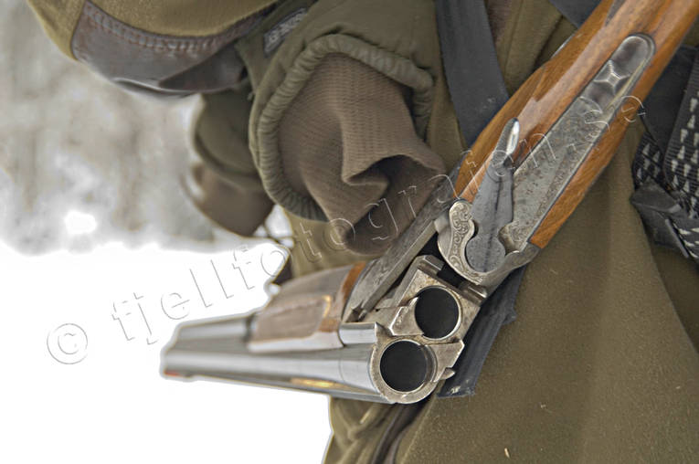 allmnjakt, bock, brutet, hagelbock, hagelvapen, jakt, sn, vapen, vinter, vinterjakt