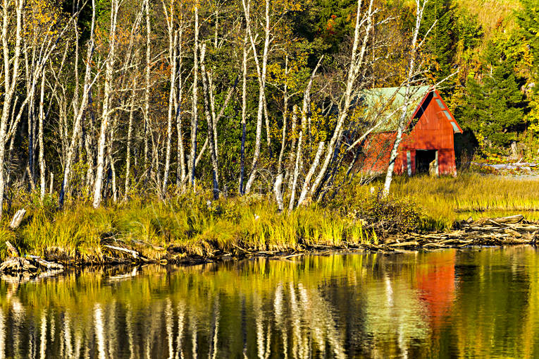 Båthus höstfärger båthus, höst, höstfärger, höstlöv, Indalsälven, Jämtland, Landskap, lövträd, skog, spegelbild, vattendrag, årstider