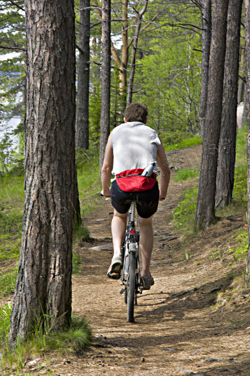 Cyklist i tallskog cykel, cykla, cyklist, friluftsliv, försommar, Jämtland, skogsstig, sommar, stig, tallar, tallskog, uteliv, årstid, årstider, äventyr