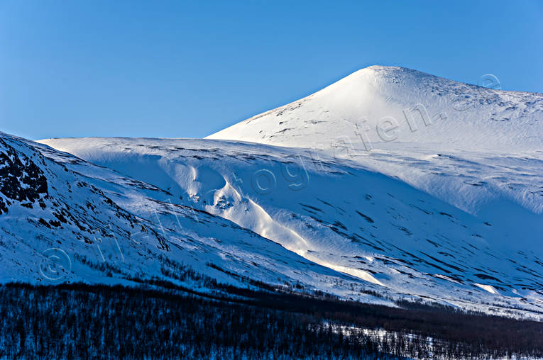 Dagarlåbddå från Sitojaure Alep Valak, fjäll, Landskap, lappland, sarek, Sitojaure, Svenska Fjällen, vinter