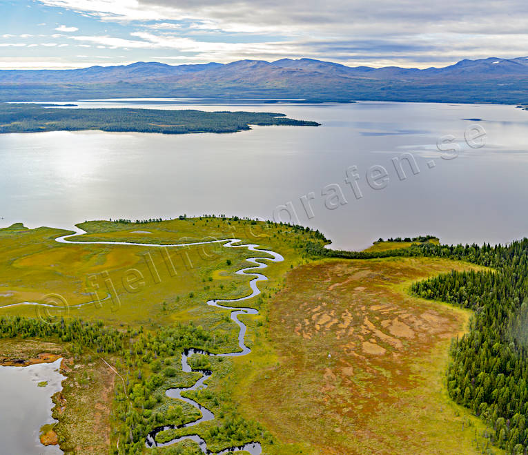 Deltaland vid Ånnsjön Klocka deltaland, drönarbild, drönarbilder, drönarfoto, flygbild, flygbilder, Flygfoto, flygfoton, höst, Jämtland, klocka, Kvarnbäcken, Landskap, meanderslingor, myrmark, Ånnsjön