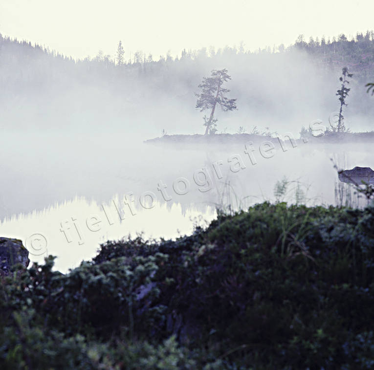 berg, dimma, dimmig, dimmigt, fjll, Jmtland, morgon, Munsvattnet, sj, soluppgng, sommar, stmning, stmningsbild, stmningsbilder, rstid, rstider, 