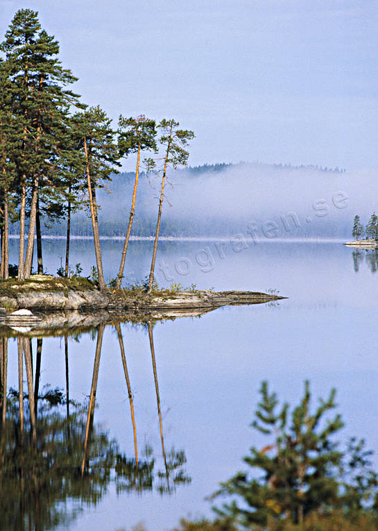 dimma, hst, morgon, morgondimma, sj, sjfart, skog, spegling, stmning, stmningsbild, stmningsbilder, vatten, rstid, rstider