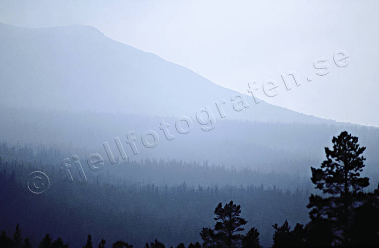 berg, dimma, Hrjedalen, skog, stmning, stmningsbild, stmningsbilder, vemdalskalet, vildmark, vr, rstid, rstider, demark