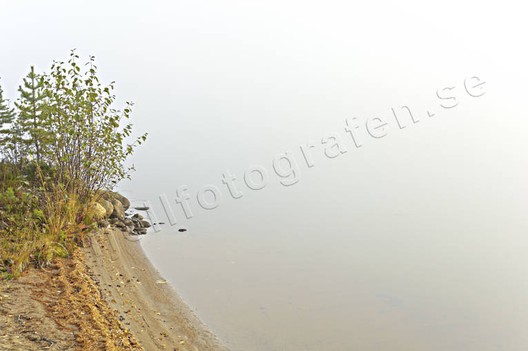 dimma, Hrjedalen, hst, Landskap, sj, strand, rstid, rstider