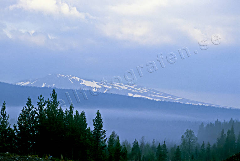 dimma, fjllskog, himmel, Hrjedalen, Sonfjllet, vr, rstid, rstider