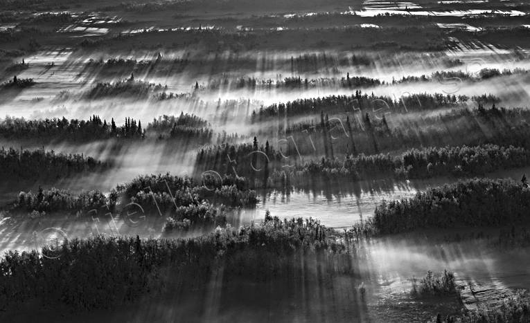 Dimma över myrlandskap dimma, drönarbilder, drönarfoto, flygbild, flygbilder, Flygfoto, flygfoton, Jämtland, kallt, kyla, Landskap, myrholmar, myrlandskap, myrmarker, svartvit, vildmark, vinter, ödemark, ödsligt