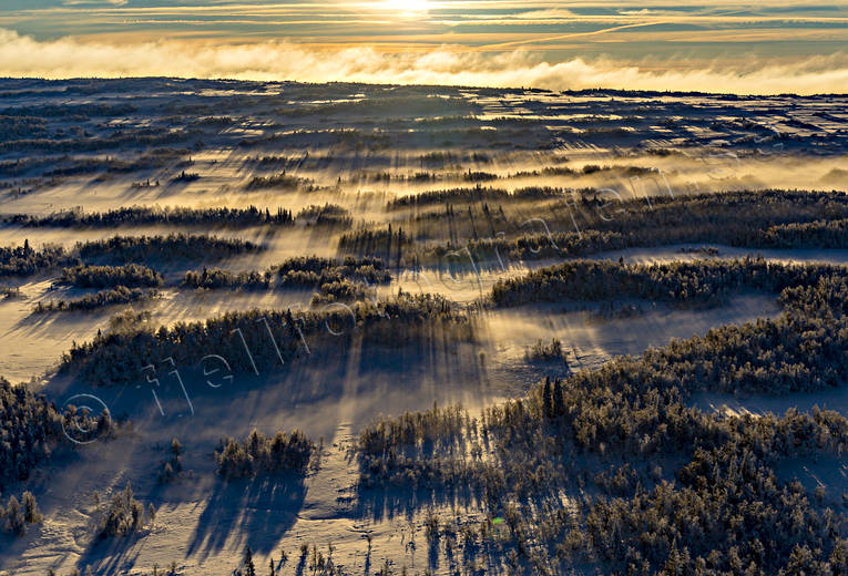 Dimma över myrlandskap dimma, drönarbilder, drönarfoto, flygbild, flygbilder, Flygfoto, flygfoton, Jämtland, kallt, kyla, Landskap, myrholmar, myrlandskap, myrmarker, vildmark, vinter, ödemark, ödsligt