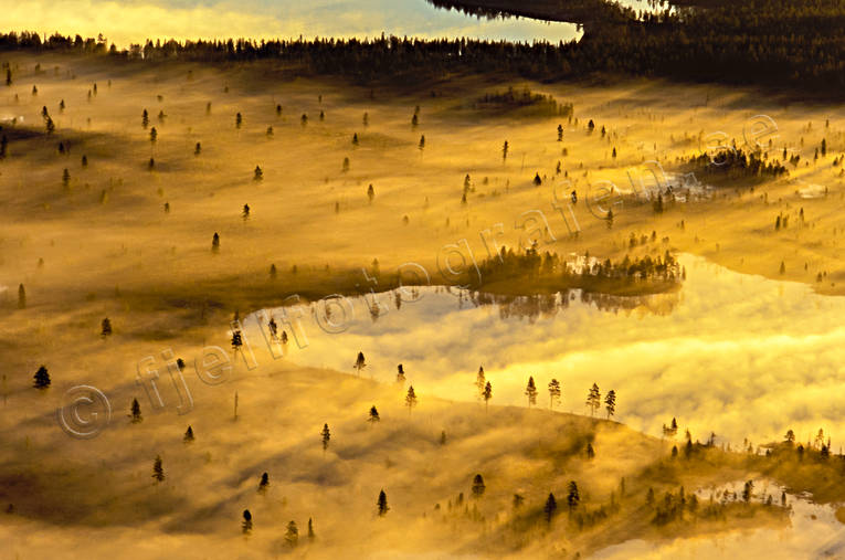 Dimma över myrlandskap Apmokuoika, dimma, drönarbilder, drönarfoto, flygbild, flygbilder, Flygfoto, flygfoton, gul, guld, höst, Landskap, lappland, moln, myr, myrland, myrlandskap, myrmark, naturreservat, skog, stämning, stämningsbild, stämningsbilder, Svenska Fjällen, Sverige, Tjeggelvas, vildmark, årstid, årstider, öde, ödemark