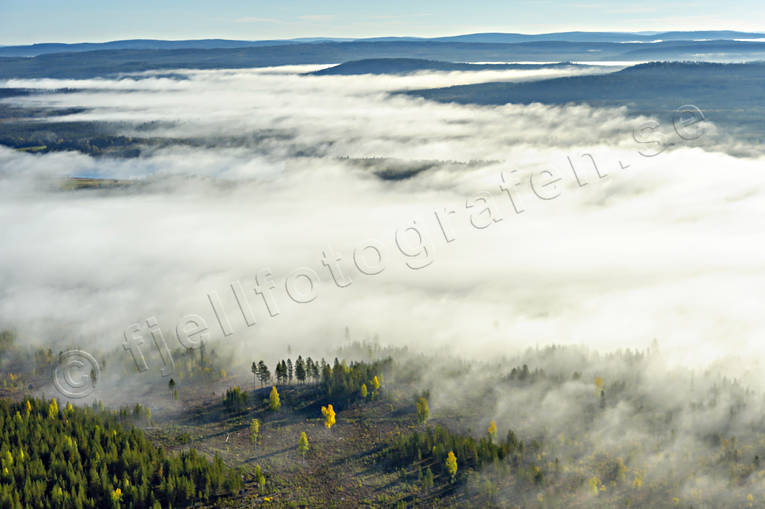 Dimma över skogslandskap dimma, drönarbilder, drönarfoto, flygbild, flygbilder, Flygfoto, flygfoton, höst, Juoksengi, Landskap, Norrbotten, skog, årstid, årstider