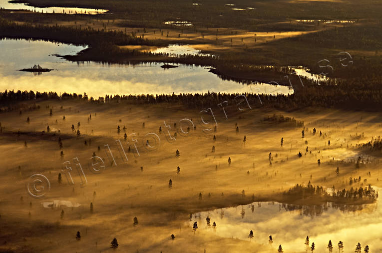 Dimma över skogslandskap dimma, drönarbilder, drönarfoto, flygbild, flygbilder, Flygfoto, flygfoton, gul, guld, höst, Landskap, lappland, moln, myr, myrland, myrmark, skog, stämning, stämningsbild, stämningsbilder, Sverige, vildmark, årstid, årstider, öde, ödemark