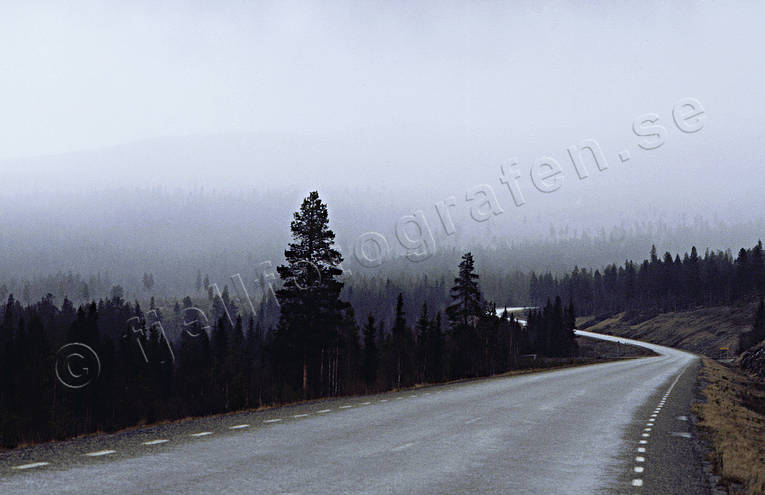 Dimma över väg dimma, Härjedalen, skog, stämning, stämningsbild, stämningsbilder, vemdalskalet, vildmark, vår, väg, årstid, årstider, ödemark, ödslig, ödsligt