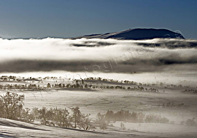 Dimmbankar dimma, dimmbankar, dimmor, fjäll, fjällen, Landskap, myr, natur, storkluken, stämningsbild, vinter, Visjövalen