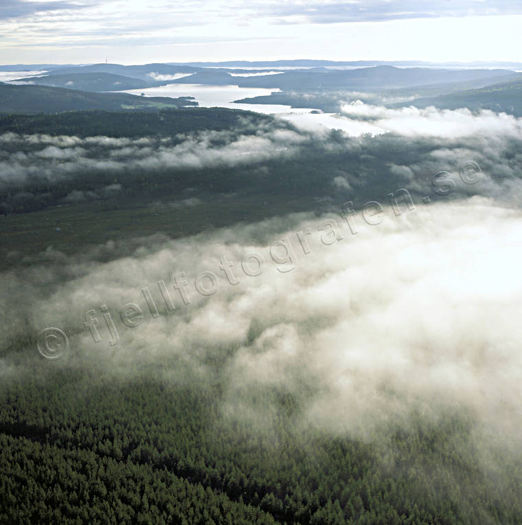 Dimmslöjor över skog dimmslöjor, drönarbilder, drönarfoto, flygbild, flygbilder, Flygfoto, flygfoton, Gällö, Jämtland, Locknesjön, moln, skog, sommar, stämning, stämningsbild, stämningsbilder, valne, årstid, årstider