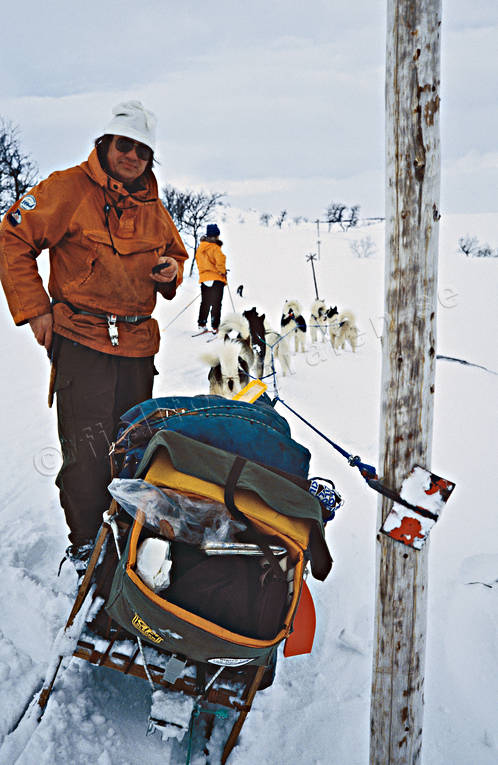 Draghundförare med grönlandshundar draghund, draghundar, draghundtur, fjällfolk, hundförare, kallt, slädfärd, slädhund, slädhundar, slädhundtur, slädtur, snö, uteliv, vinter, äventyr