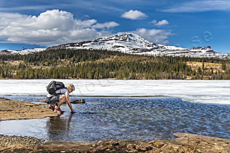Dricka vattten i Fröåtjärn dricka, fjäll, friluftsliv, Landskap, natur, sjö, sommar, vatten, vinter, vår, Åreskutan, äventyr