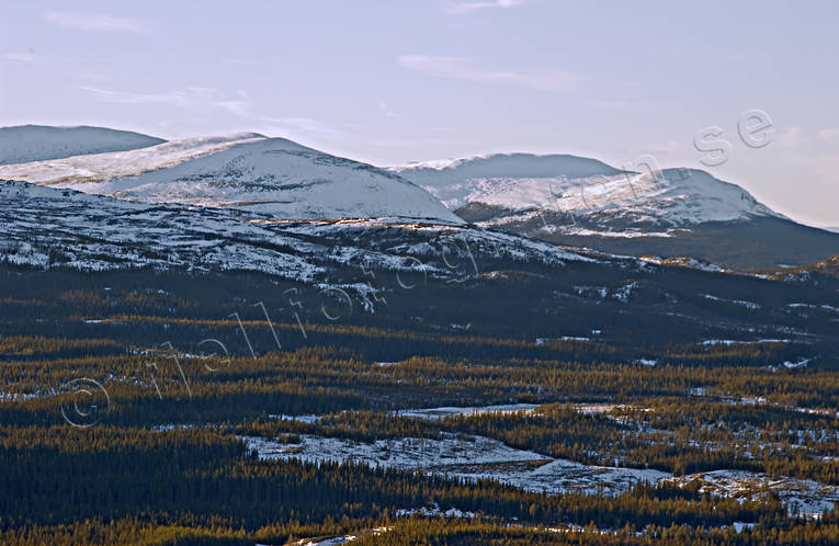 Drommen och Västfjället Drommen, fjäll, fjällskog, Jämtland, Landskap, skog, vinter, vinterfjäll, Västfjället
