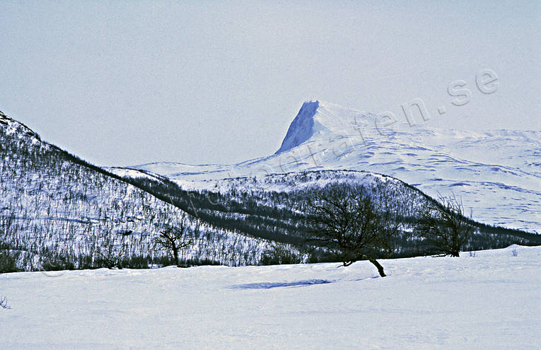 Durrenpiken norr om Klimpfjäll Durrenpiken, Klimpfjäll, Landskap, lappland, vinter