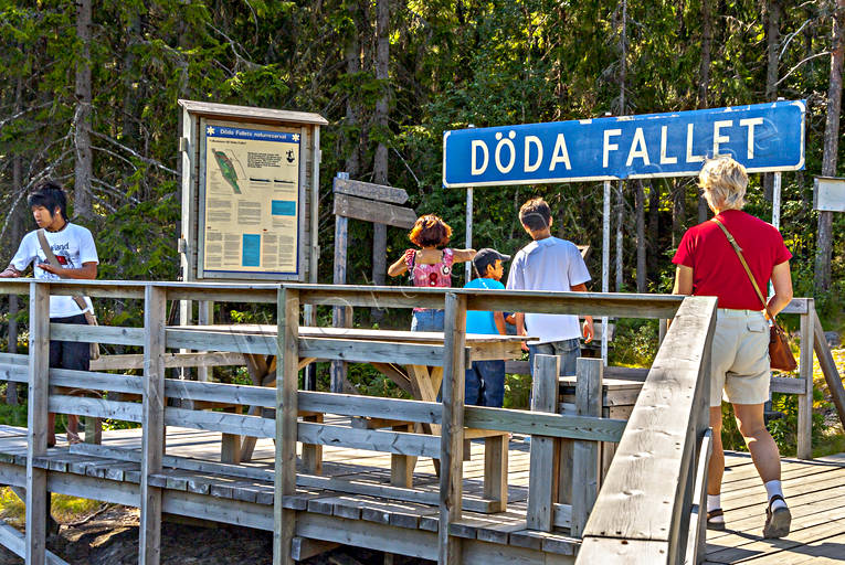 Döda fallet Indalsälven Döda fallet, dödafallet, Gedungsen, Indalsälven, Jämtland, sevärdhet, Sevärdheter, spång, spångat, Vildhussen, älvfåra