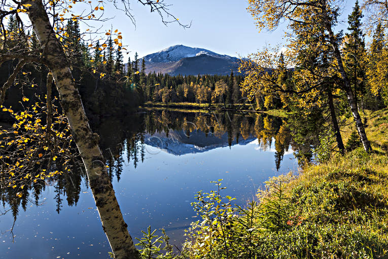 Ena älv och Storsnasen björk, björklöv, Enafors, Enaforsholm, Enan, Enaälv, Enaälven, fjäll, fjälltopp, fjälltoppar, högfjäll, höst, höstfärger, Jämtland, Landskap, natur, Snasen, Storsnasen, stämning, älv