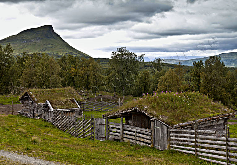 bustuga, byggnader, byggnationer, fjll, fbod, fbodar, fbodliv, fbodstuga, Hjortvallen, Hgnvallen, Hrjedalen, Mittklppen, natur, Stormittklppen