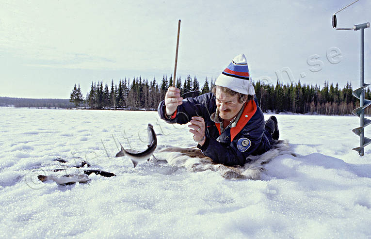 fiska, fiske, kikmete, pimpel, pimpelfiske, pimpla, sik, sportfiske, vinterfiske, vris