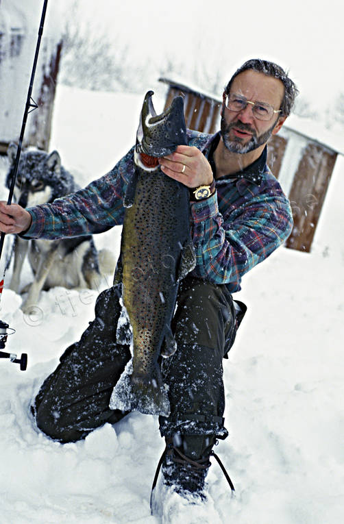 Fiskare med 5-kilos öring fisk, fiskare, fiske, fiskelycka, haspelfiske, spinnfiske, sportfiske, storöring, öring