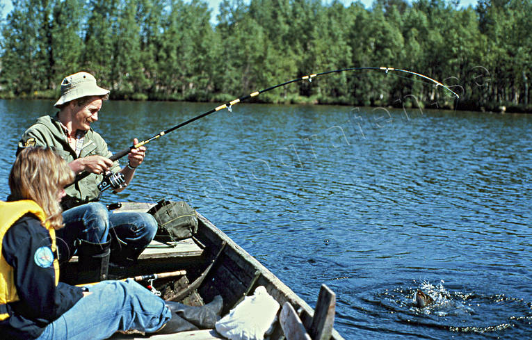 Fiskare tar gädda eka, fiskare, fiske, gädda, gäddfiske, haspel, haspelfiske, spinn, spinnfiske, sportfiske