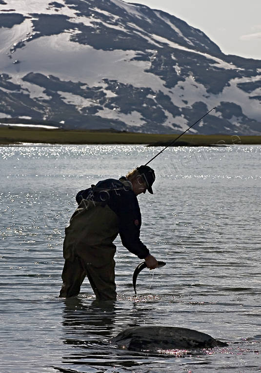 Fiske i fjällen fiske, fjäll, fjällfiske, fjällsjö, haspel, Landskap, lappland, Padjelanta, rödingfiske, spinnfiske, sportfiske